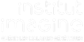 Logo de Institut Imagine